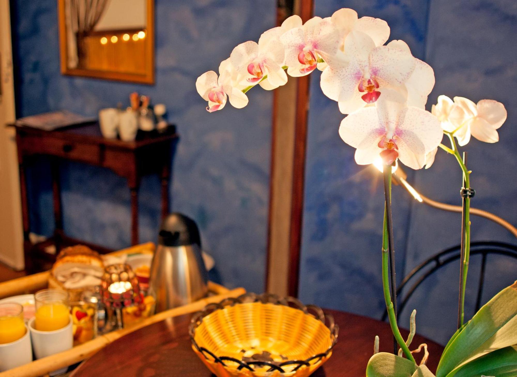 Barrio Amsterdam Hotel ภายนอก รูปภาพ